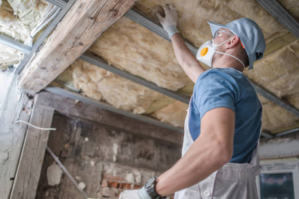 Best Commercial Insulation in Valle Vista, CA