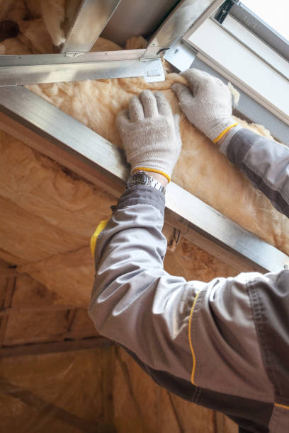 Best Geographic-Specific Insulation Services in Valle Vista, CA